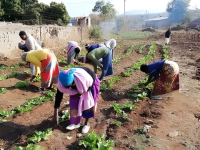 Maveke (Nhombelani) village